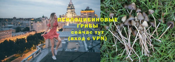 Альфа ПВП Гусь-Хрустальный