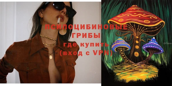 Альфа ПВП Гусь-Хрустальный