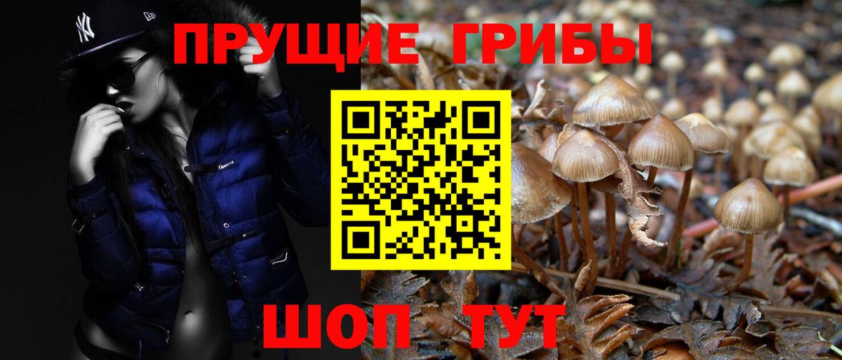 Галлюциногенные грибы Psilocybe  Вход с VPN  Псилоцибиновые грибы ЛСД  Еманжелинск 